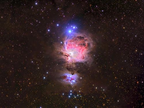 M42 La Nebulosa di Orione